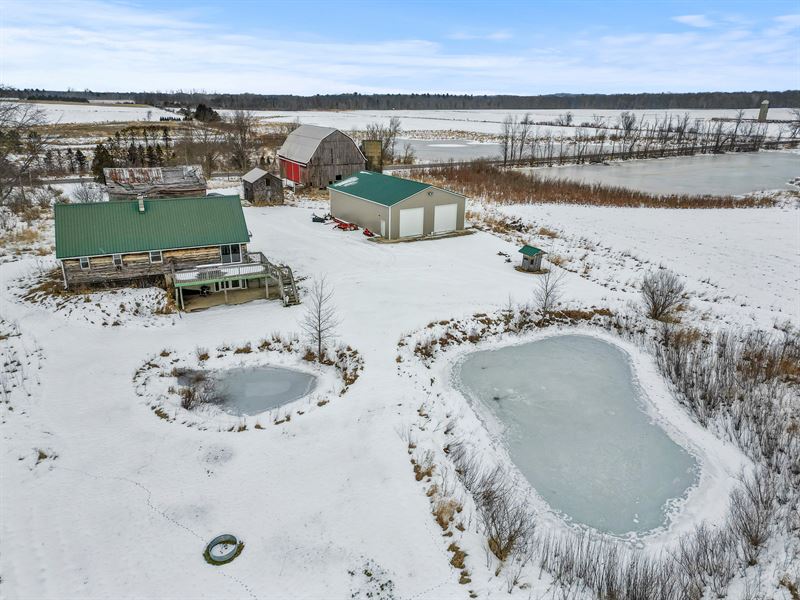 Polk Road Farm : Walkerville : Oceana County : Michigan