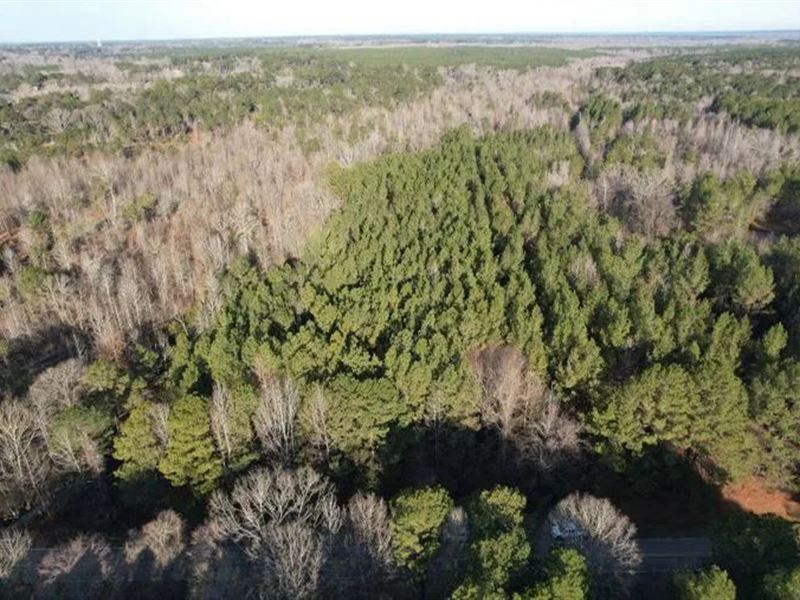 25 Acres in Madison County in Canto : Canton : Madison County : Mississippi