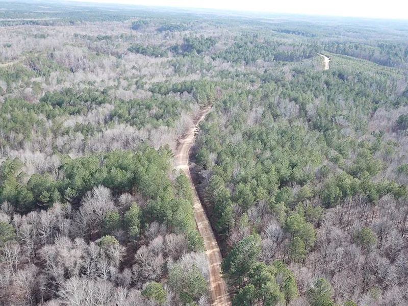 80 Acres in Grenada County, MS : Gore Springs : Grenada County : Mississippi