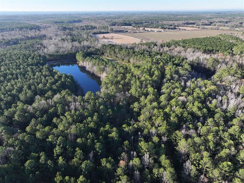 33.21 Acres in Pickens County, AL : Ethelsville : Pickens County : Alabama