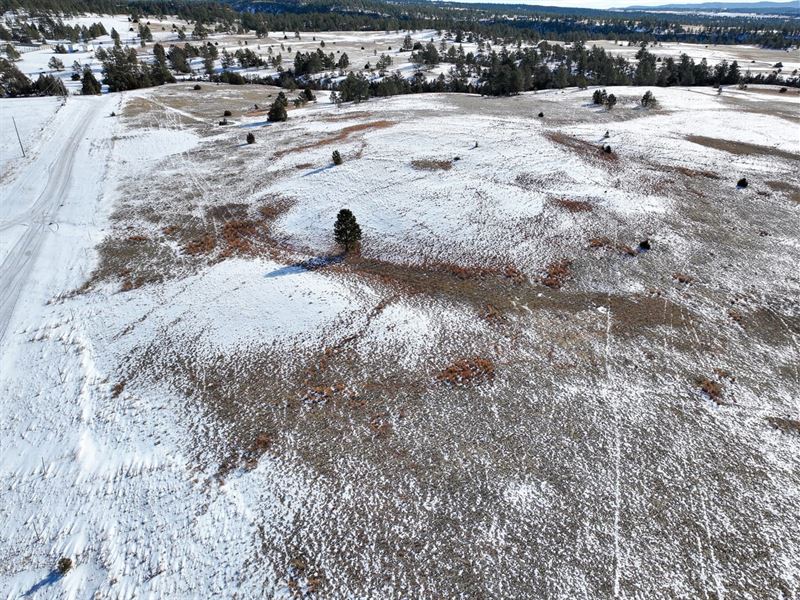 Custer County 50 : Custer : Custer County : South Dakota