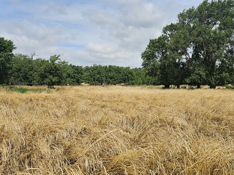Turon Camp Crp : Turon : Reno County : Kansas