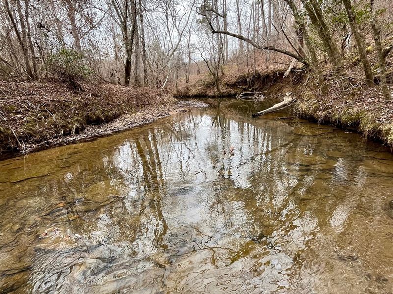 Wildcat Creek Hunting & Recreation : Wedowee : Randolph County : Alabama