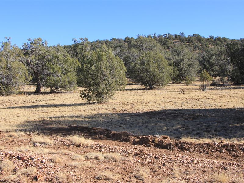 Northwest AZ Wilderness Ranch : Seligman : Yavapai County : Arizona