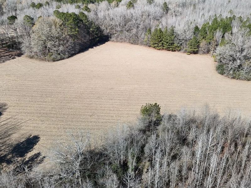 43 Acres in Lawrence County in Mont : Monticello : Lawrence County : Mississippi