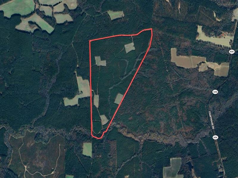 244 Acres of Premier Big Game Hunti : Sussex : Sussex County : Virginia