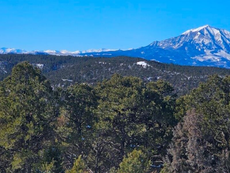 85 Blackhawk Ranch : Walsenburg : Huerfano County : Colorado