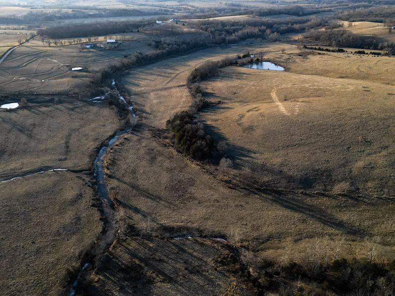 Williams Branch Ranch for Sale : Mountain Grove : Texas County : Missouri