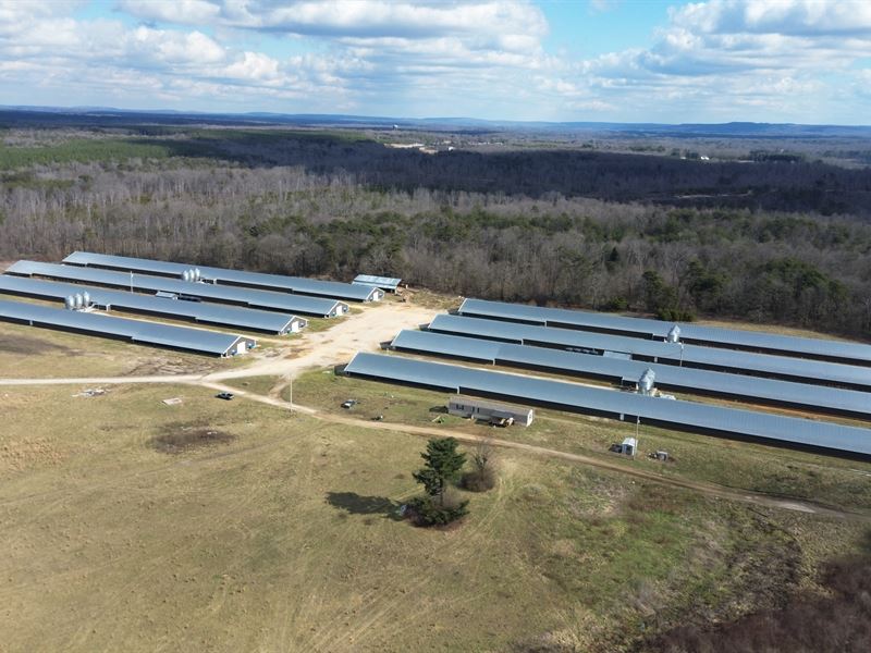 New 8 House Broiler Poultry Farm : Coalmont : Grundy County : Tennessee