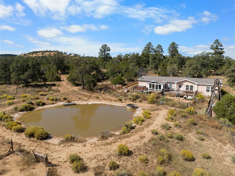 Tallahogan Ranch : Pinehill : Cibola County : New Mexico