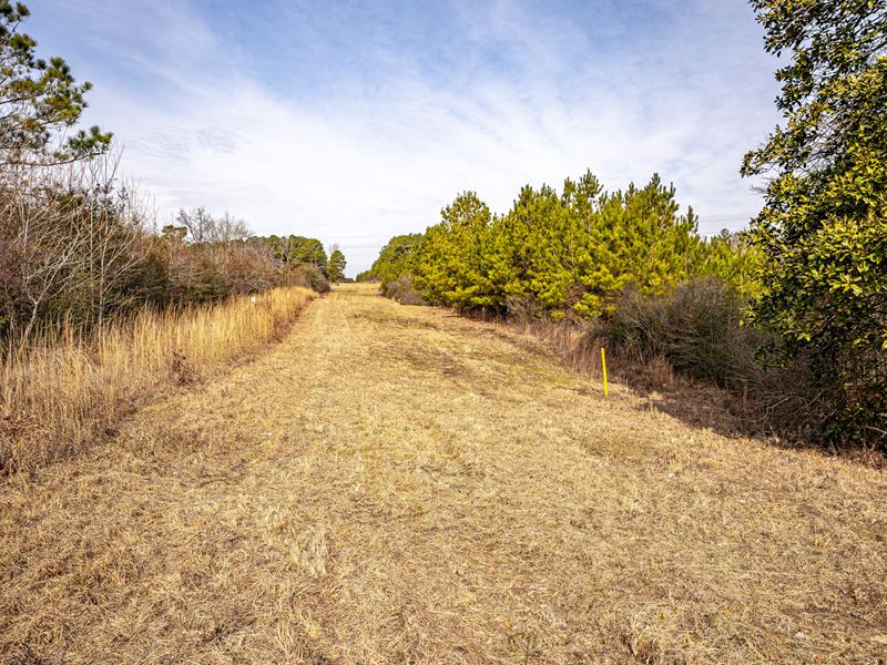 Homesite and Hunting Near McKinnis : Collins : Covington County : Mississippi