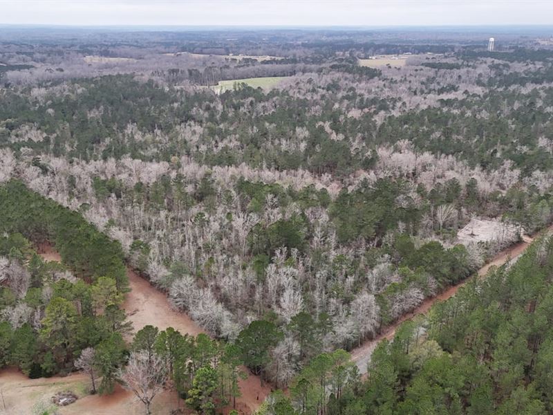 100 Ac, Coffee Co, Jump Creek Tra : Jack : Coffee County : Alabama