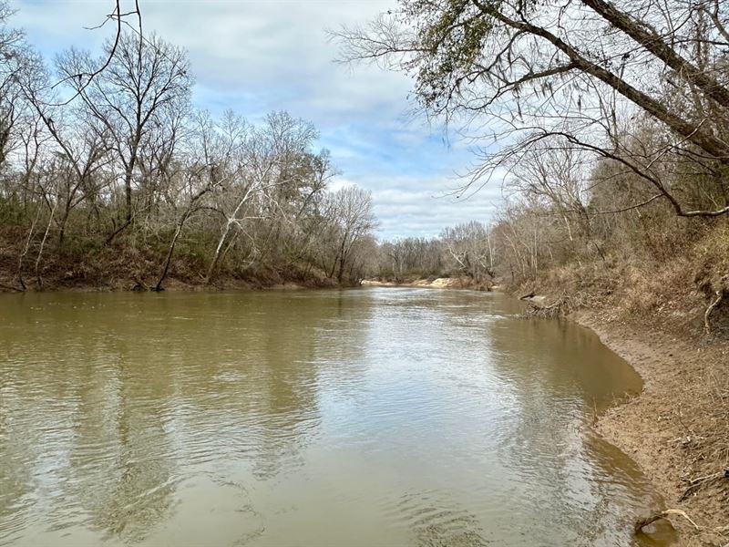 450 Acres on The Cahaba River : Marion Junction : Dallas County : Alabama