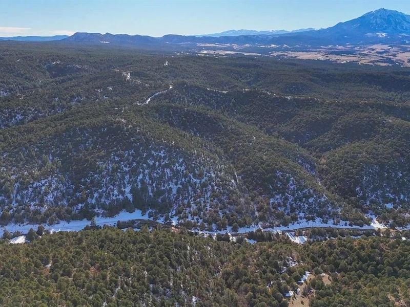 Four Mile Canyon Lot 79, Walse : Walsenburg : Huerfano County : Colorado