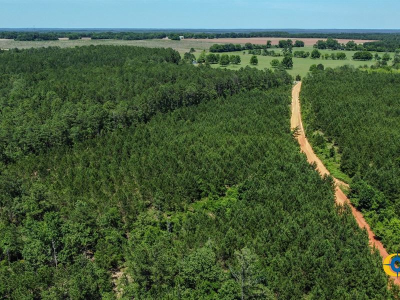 Pike Tract : Mauk : Marion County : Georgia