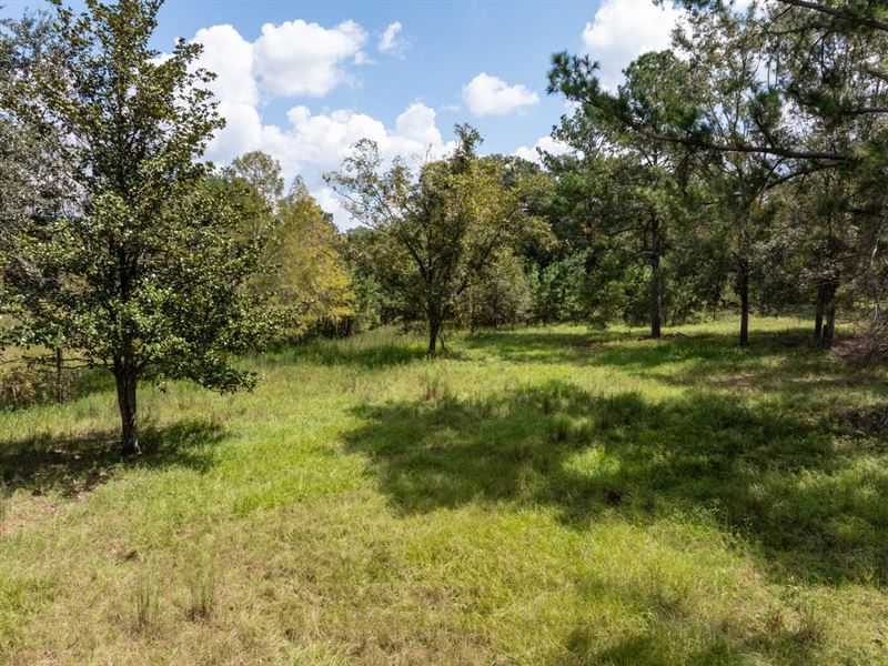 12.9 Acres on NW St Thomas Church : Madison : Madison County : Florida