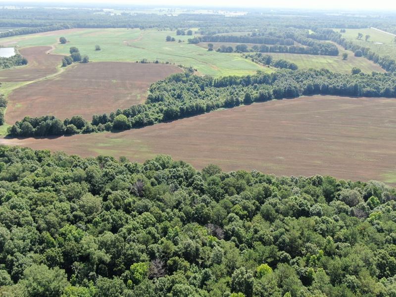 1,376 Acre Row Crop Farm : Marion : Perry County : Alabama