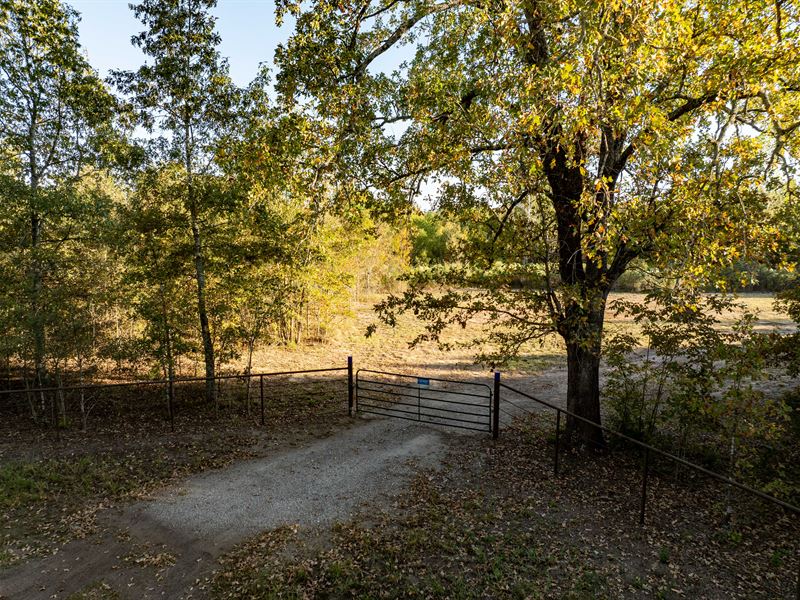 23 Wooded Acres, Talco, TX : Talco : Titus County : Texas