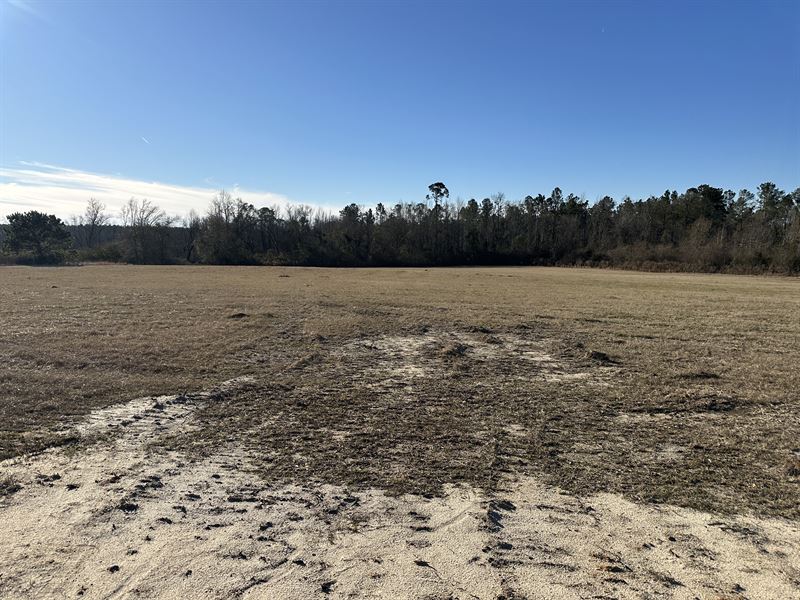 Pastured Estate Lot : Swainsboro : Emanuel County : Georgia