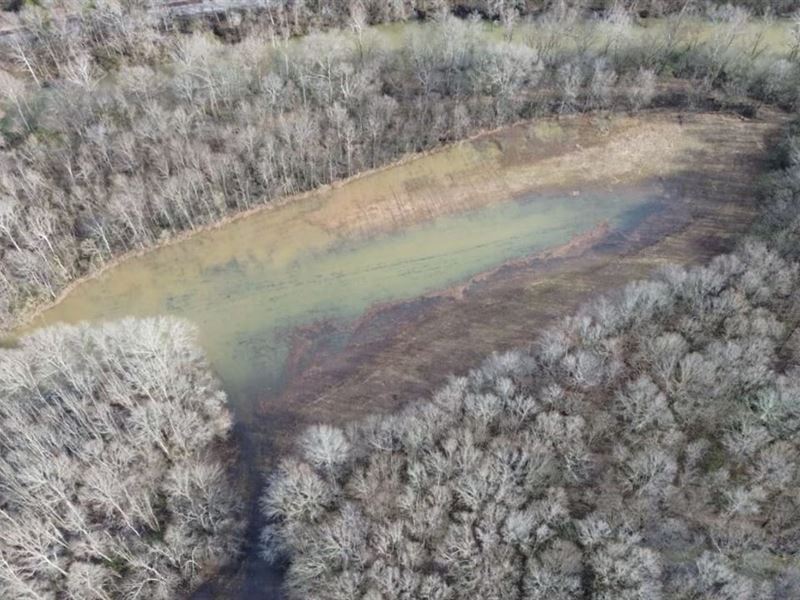 180 Acres in Jackson County, AL : Bass : Jackson County : Alabama