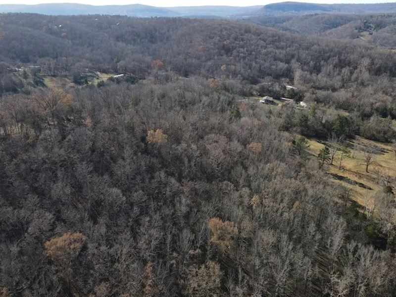 Wooded Acreage, Utilities, Creek : Mountain View : Stone County : Arkansas