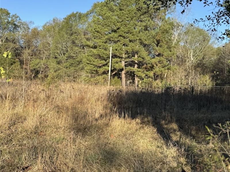 10 Beautiful Acres Atkins, AR : Atkins : Pope County : Arkansas