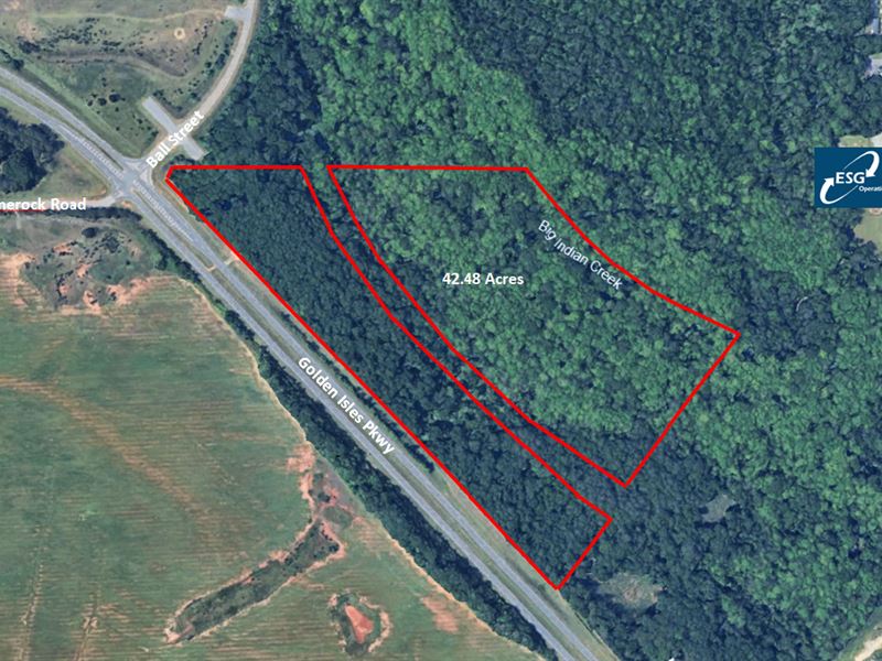 42.48 Ac Land Tract Houston County : Perry : Houston County : Georgia