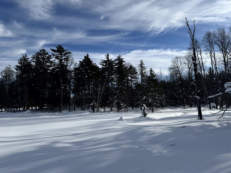 On Spruce Pond : Osceola : Lewis County : New York