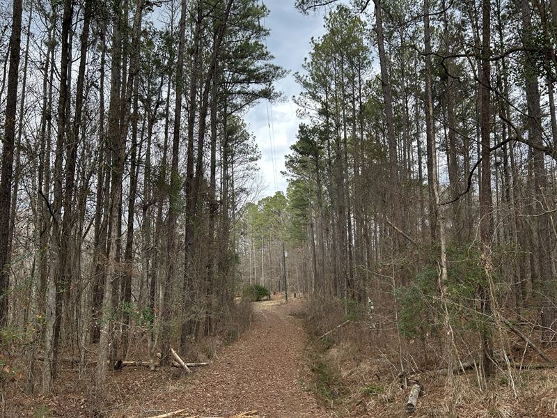 Fully Wooded Homesite : Gray : Jones County : Georgia