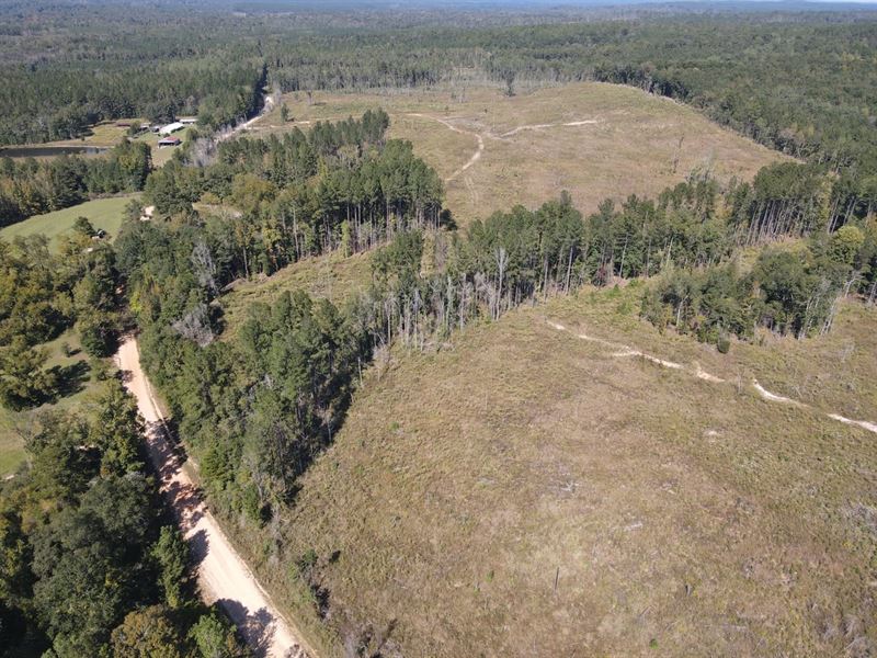 55 Acres Oakey Streak Rd : Dozier : Covington County : Alabama