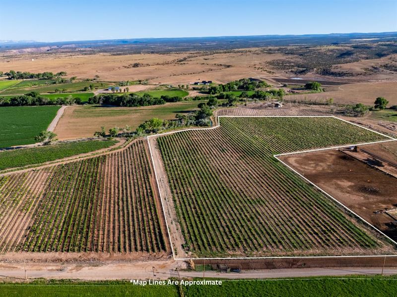 17.9 Acres Vineyard Land Berkeley : Olathe : Montrose County : Colorado