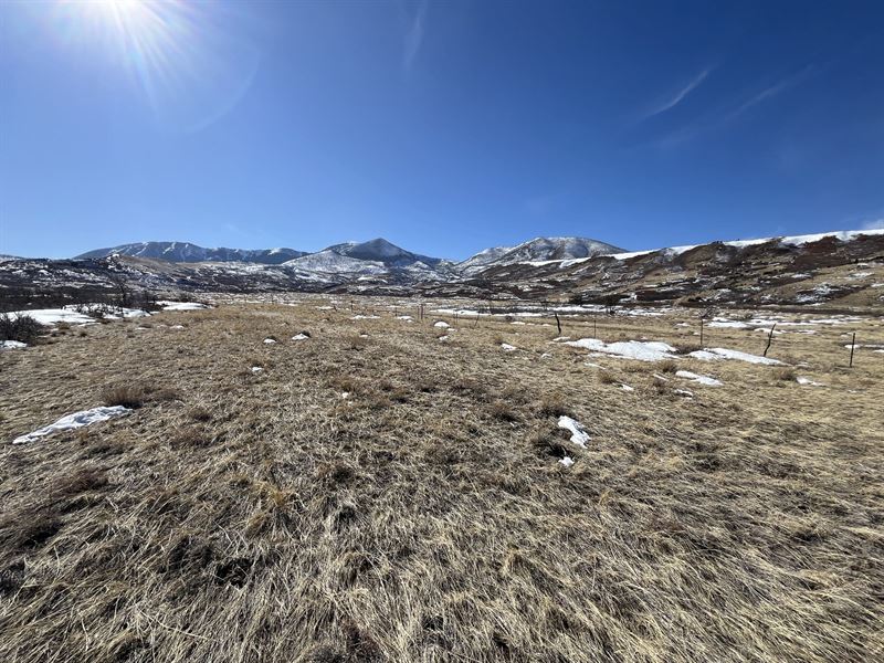 Yellowstone Creek Ranch No. 7 : Walsenburg : Huerfano County : Colorado