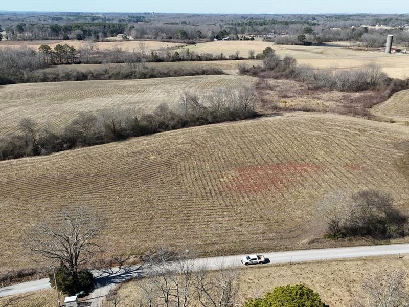 Cullman County, AL Mini-Farm Lot 3 : Cullman : Cullman County : Alabama