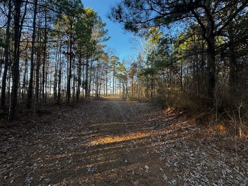 56.5 Acres Redfield, AR : Redfield : Jefferson County : Arkansas