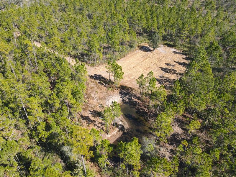 40 Acres with Power and Water : Altha : Calhoun County : Florida