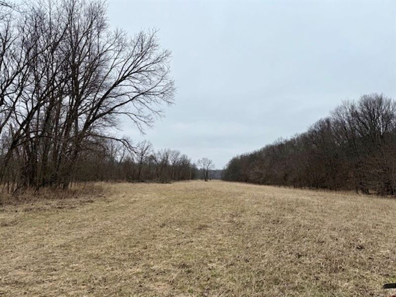 66 Acres, Bottom Ground, Fenced, El : Ava : Douglas County : Missouri