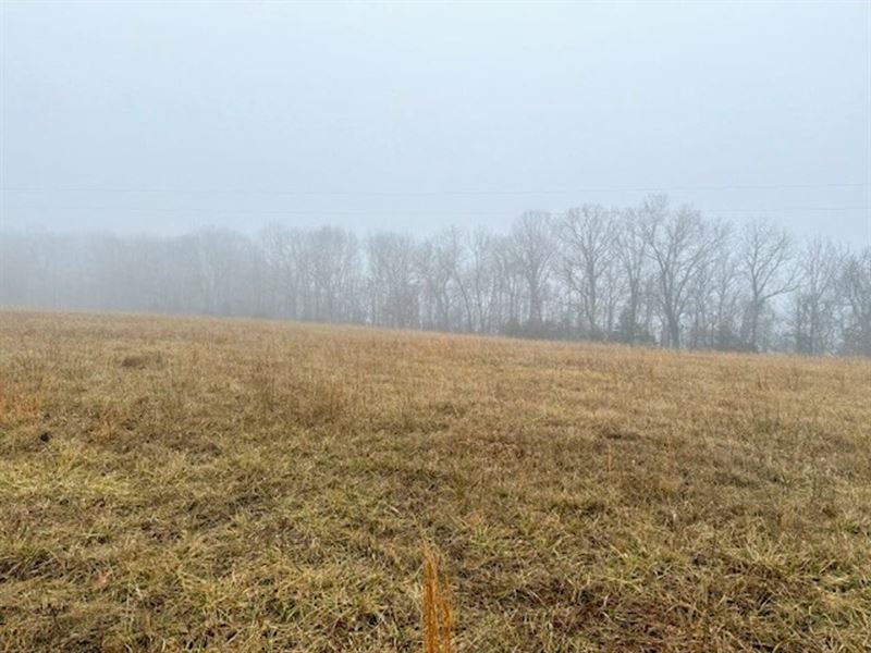 100 Acres, Corners Brill Macks Cree : Ava : Douglas County : Missouri