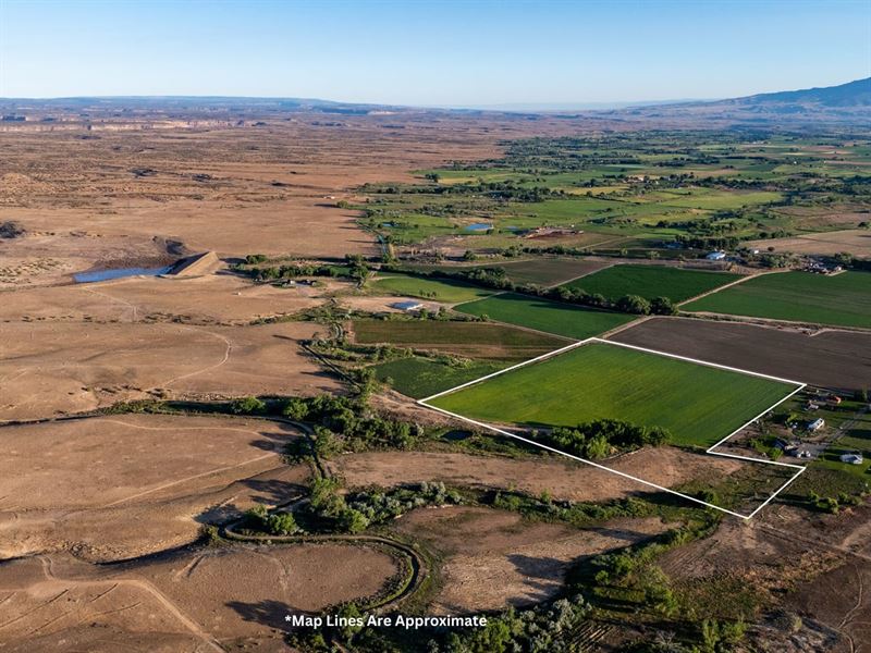 Colorado Farm Land 33 Acres : Olathe : Montrose County : Colorado