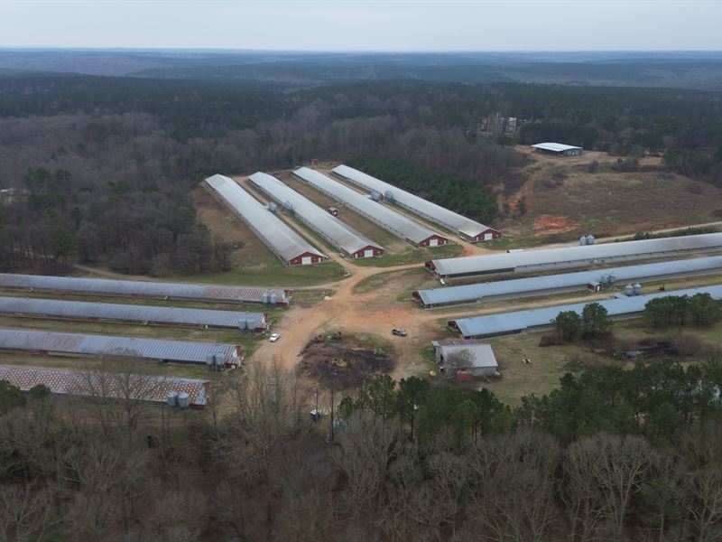 Profit 11 House Broiler Poultry Frm : Lexington : Oglethorpe County : Georgia