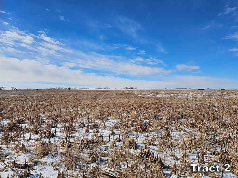 Pure Cycle Farm for Sale : Hasty : Bent County : Colorado