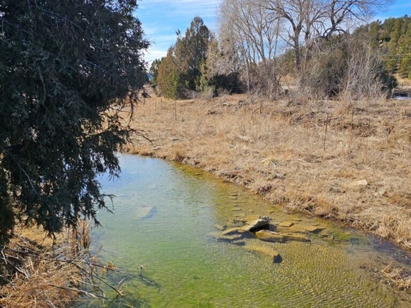 25 River Ranch Long Canyon : Trinidad : Las Animas County : Colorado