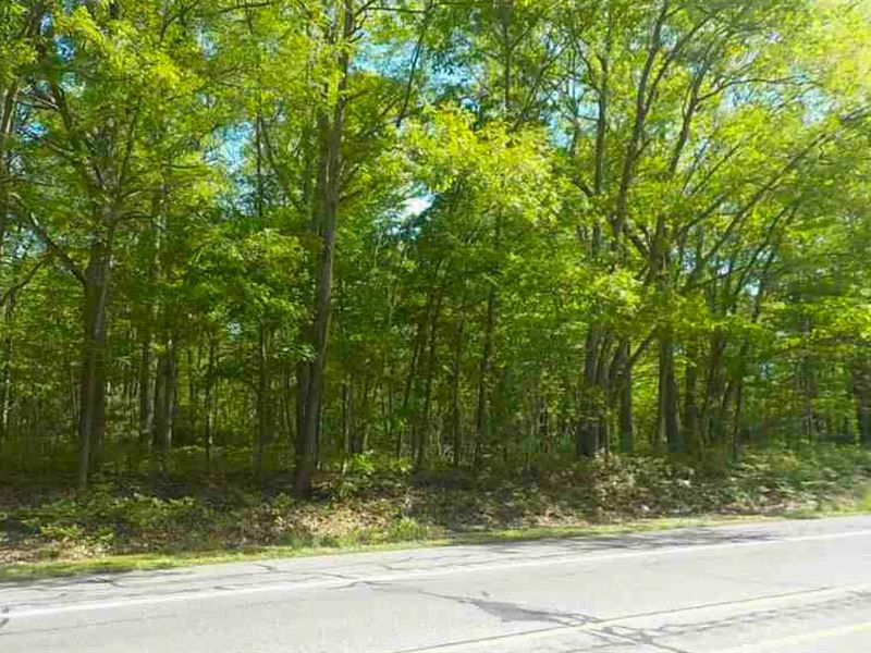 Absolute Auction Vacant Land : Foster : Providence County : Rhode Island