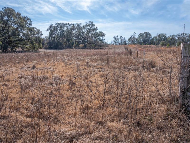 59.17 Acres Aucilla, FL : Aucilla : Jefferson County : Florida