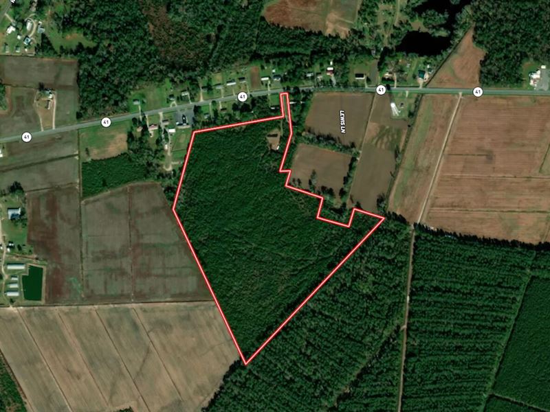 50.71 Acres of Recreational and Res : Trenton : Jones County : North Carolina