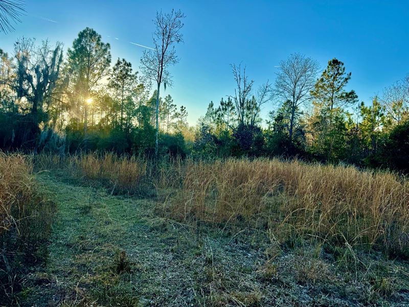 Levy County 100 : Bronson : Levy County : Florida