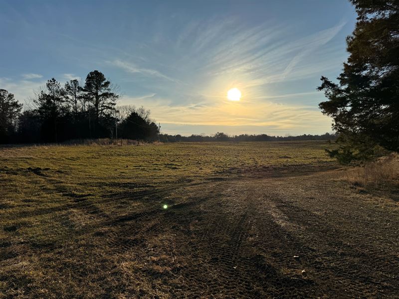 147 Acres in Marshall County, MS : Holly Springs : Marshall County : Mississippi