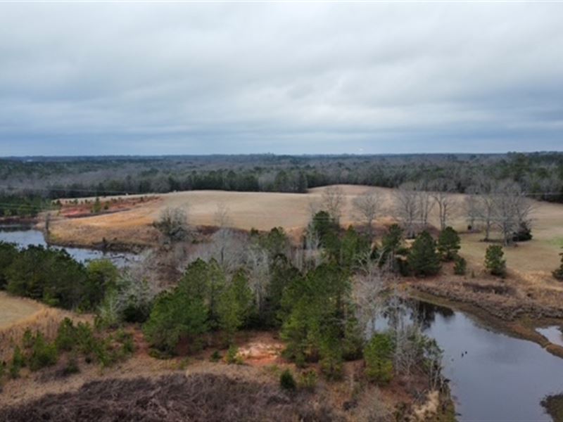 55 Acres in Butler County, Alabama : Greenville : Butler County : Alabama