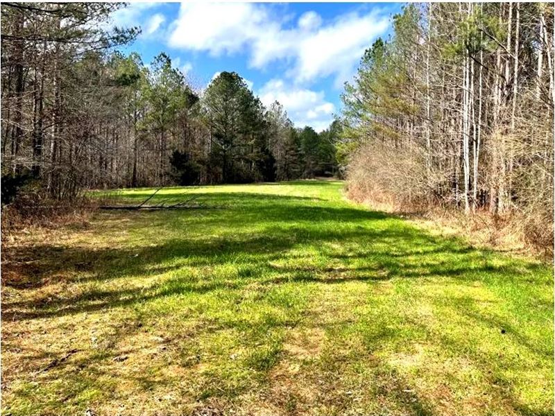 160 Acres in Leake County in Thomas : Thomastown : Leake County : Mississippi