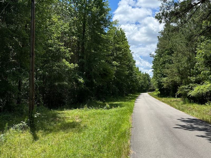 54 Acres East Railroad Street : Castleberry : Conecuh County : Alabama