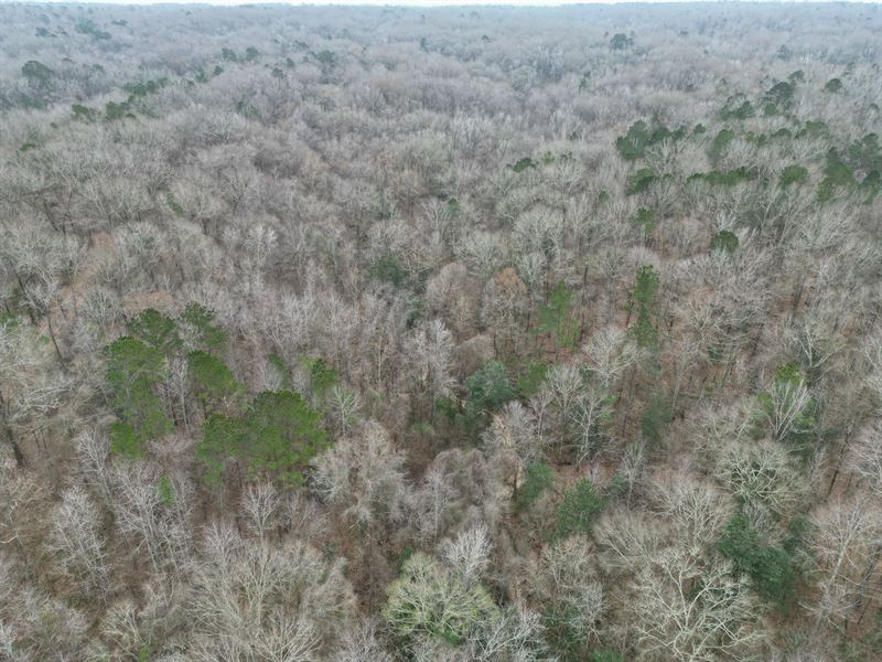 35.9 Acres in Adams County, MS : Natchez : Adams County : Mississippi